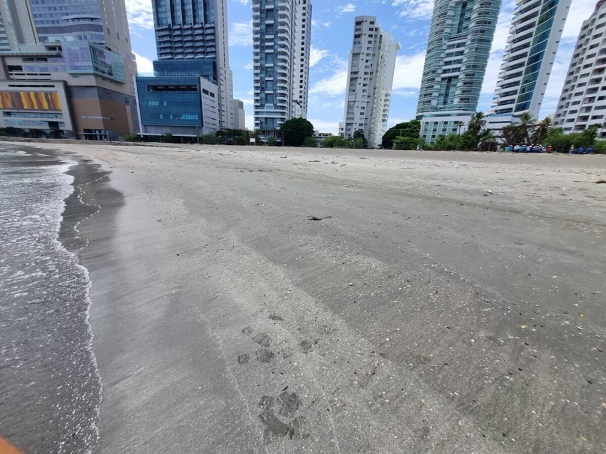 UNGRD firmó acta de pago para continuar obras de Protección Costera