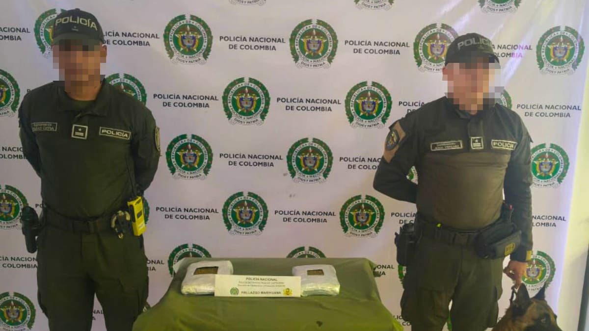 En Cartagena canino ‘Killer’ detectó carga con paquetes de droga