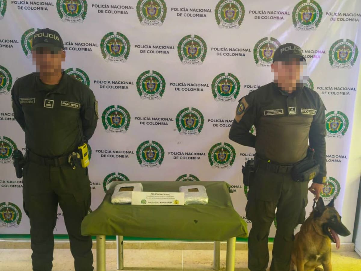 En Cartagena canino ‘Killer’ detectó carga con paquetes de droga