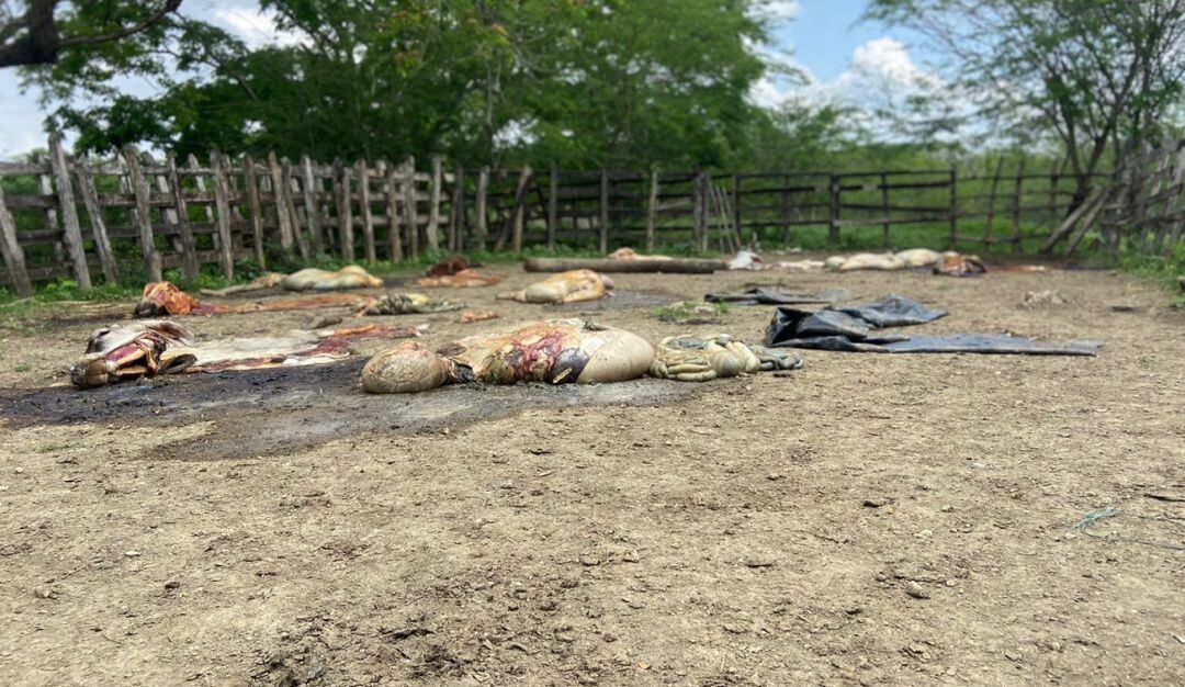 El hecho se registró en la finca Las Palmeras, ubicada en la carretera que comunica al municipio de Santa Rosa de Lima con el corregimiento de Zipacoa