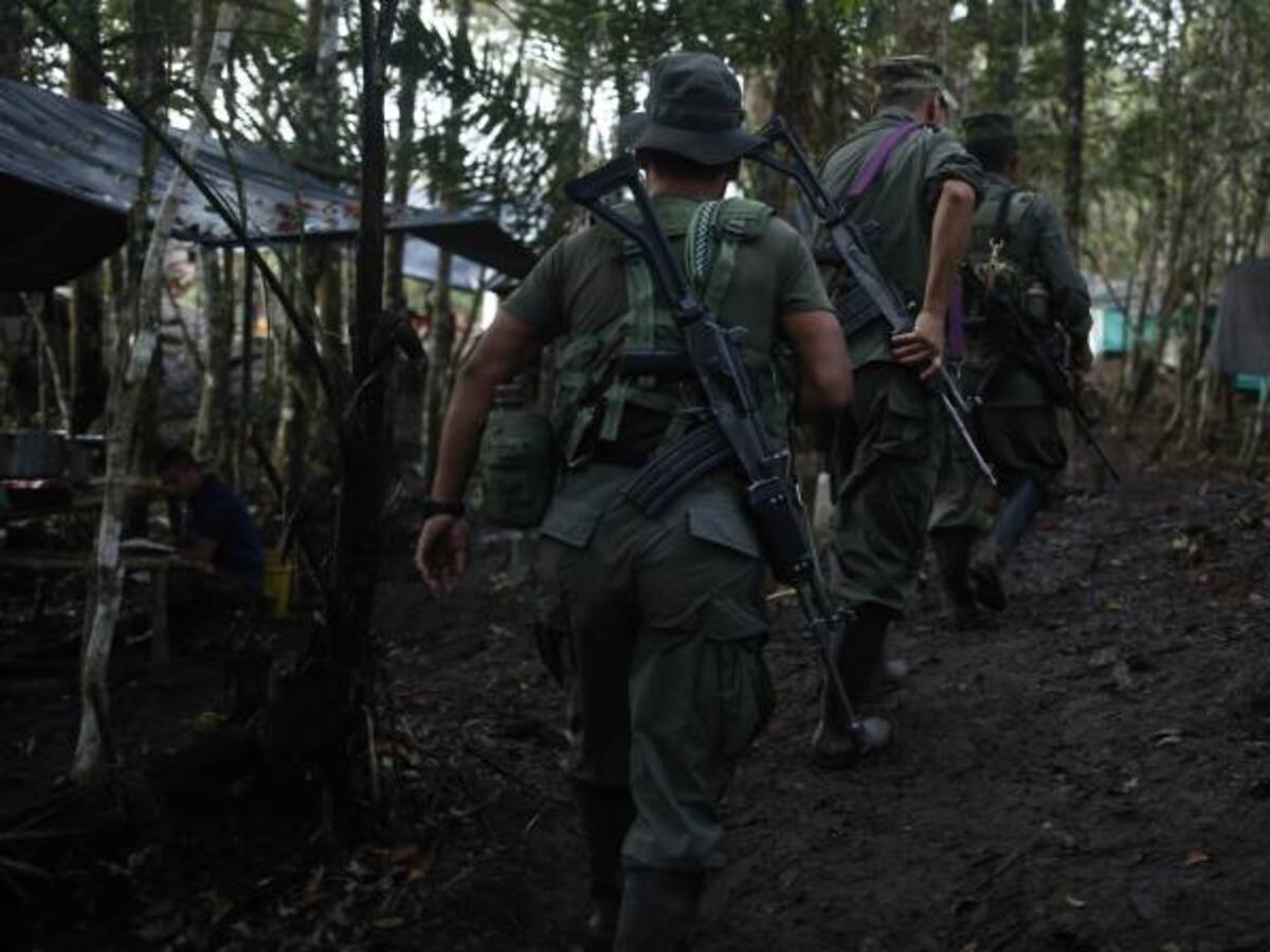 La realidad de los disidentes del Frente Primero de las Farc en Vaupés