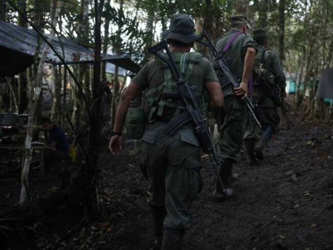 La realidad de los disidentes del Frente Primero de las Farc en Vaupés