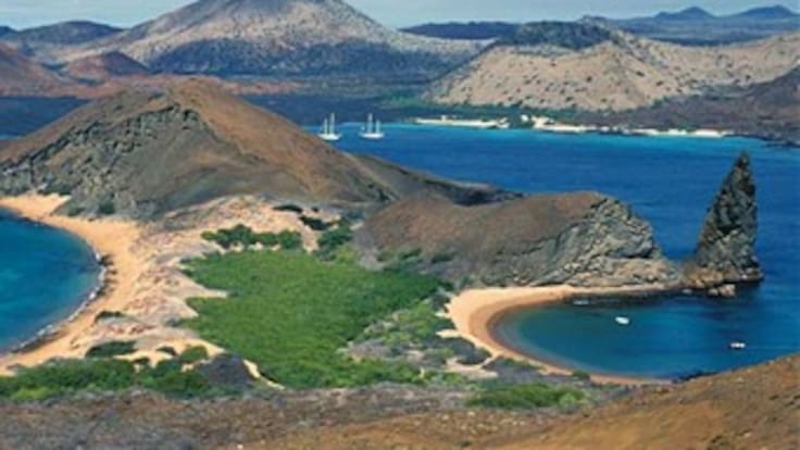 América de Cali es nuevamente suspendido 30 días por Coldeportes Nacional