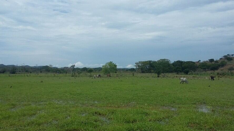 Tierras. (Imagen referencial). Foto: Colprensa.