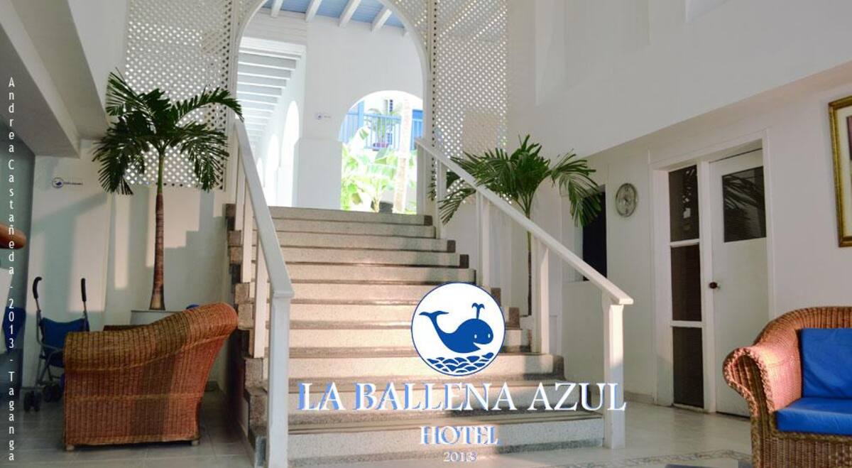 Con estilo contemporáneo y tradición europea, en el exclusivo sector de Taganga, el Hotel Ballena Azul ofrece paquetes exclusivos para Semana Santa.