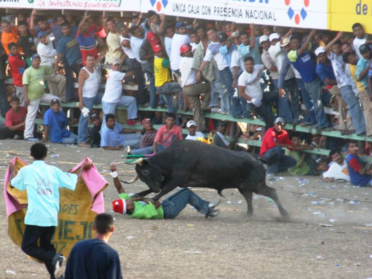 No habrá corralejas en Turbaco para las fiestas patronales
