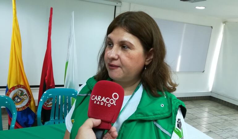 Beatriz Fiallo Martínez directora regional del ICBF en Norte de Santander