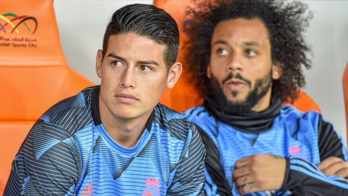 Pulso 14 de enero de 2020