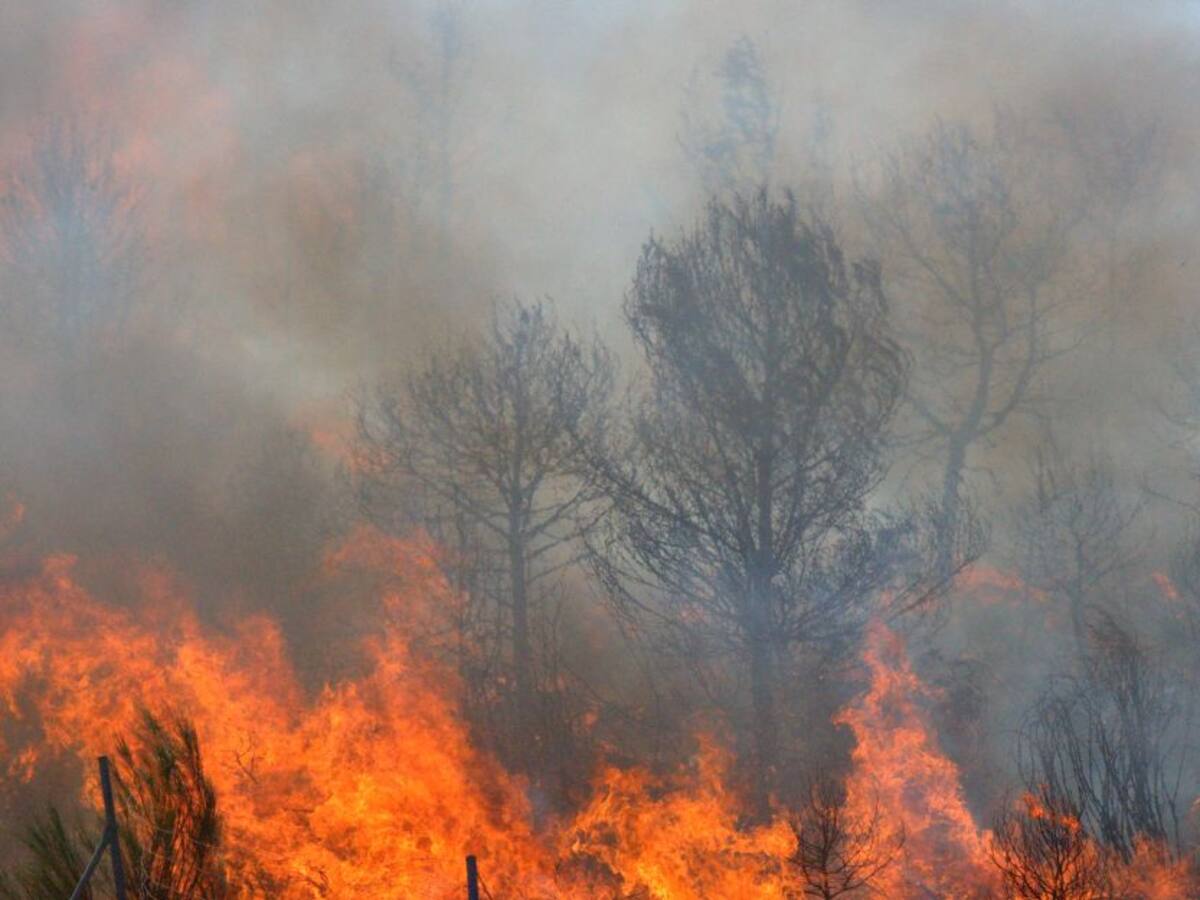 Continúan fuertes incendios forestales en Melgar