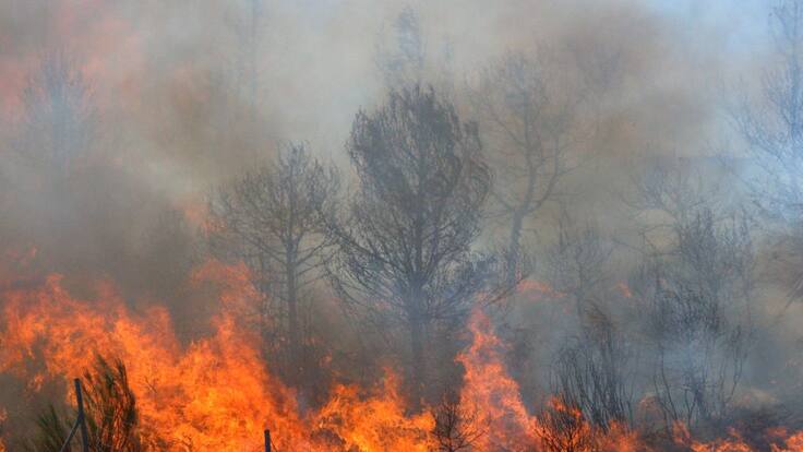 Continúan fuertes incendios forestales en Melgar