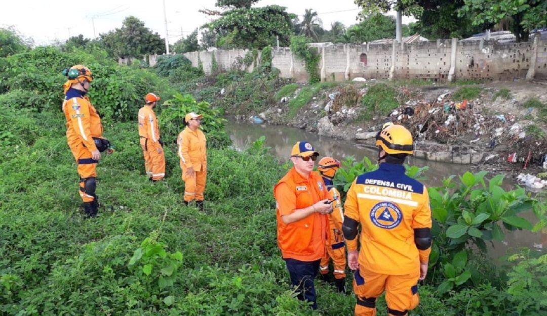 Imagen de referencia