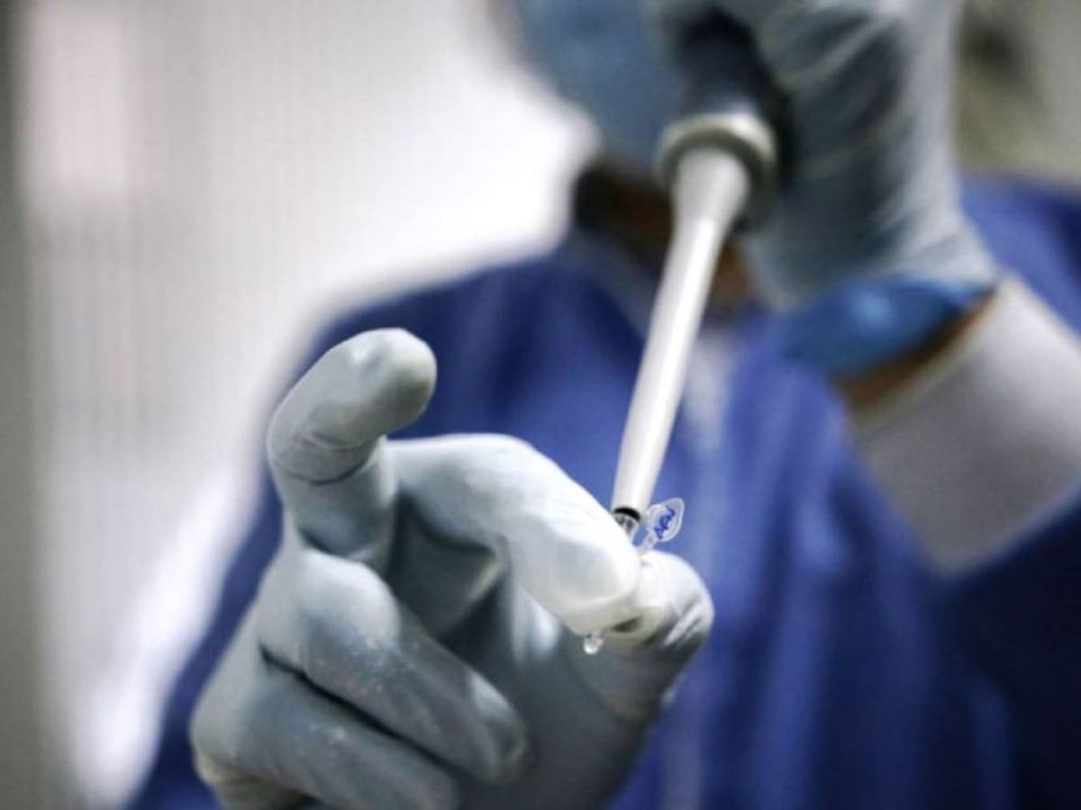 OPS alerta sobre una “triple amenaza”en la región de cara a la temporada navideña