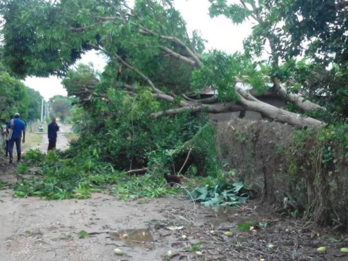 Lluvias causan afectaciones en red vial de Tolima
