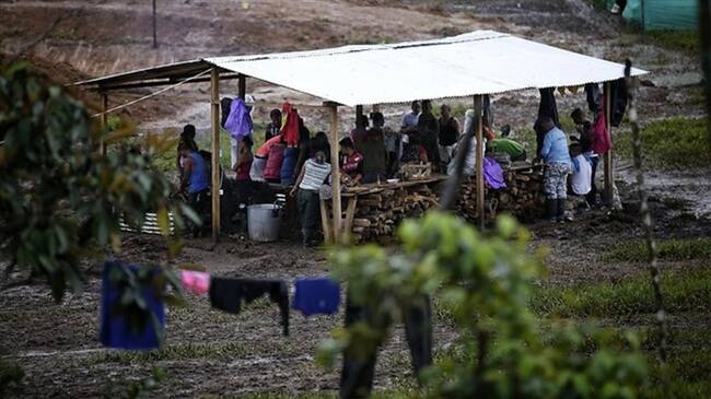 ¿El Gobierno reglamentó tarde los espacios en los que permanecen las Farc?. Foto: Colprensa