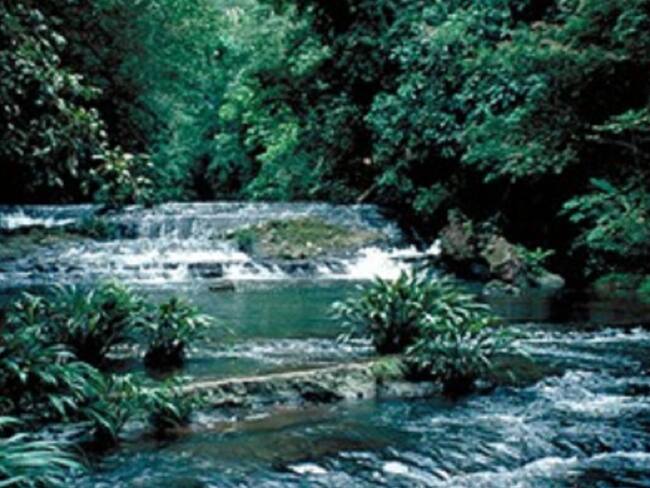 Ejército protegerá parques naturales de Antioquia