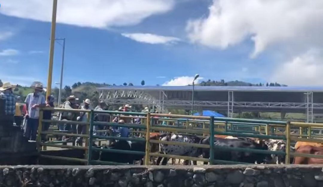 Feria Ganadera en Aguadas