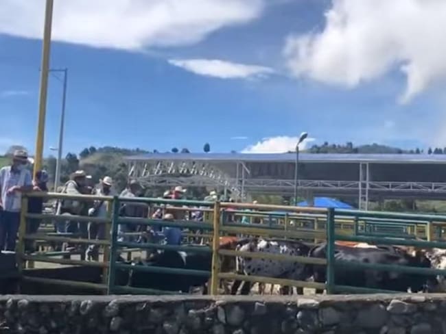 Feria Ganadera en Aguadas