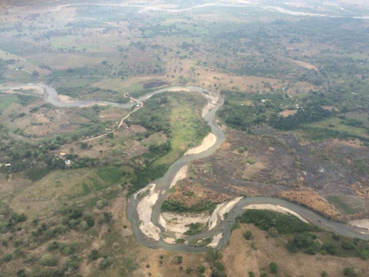 “En la Amazonia se han identificado 5 núcleos activos de deforestación” Procuraduría