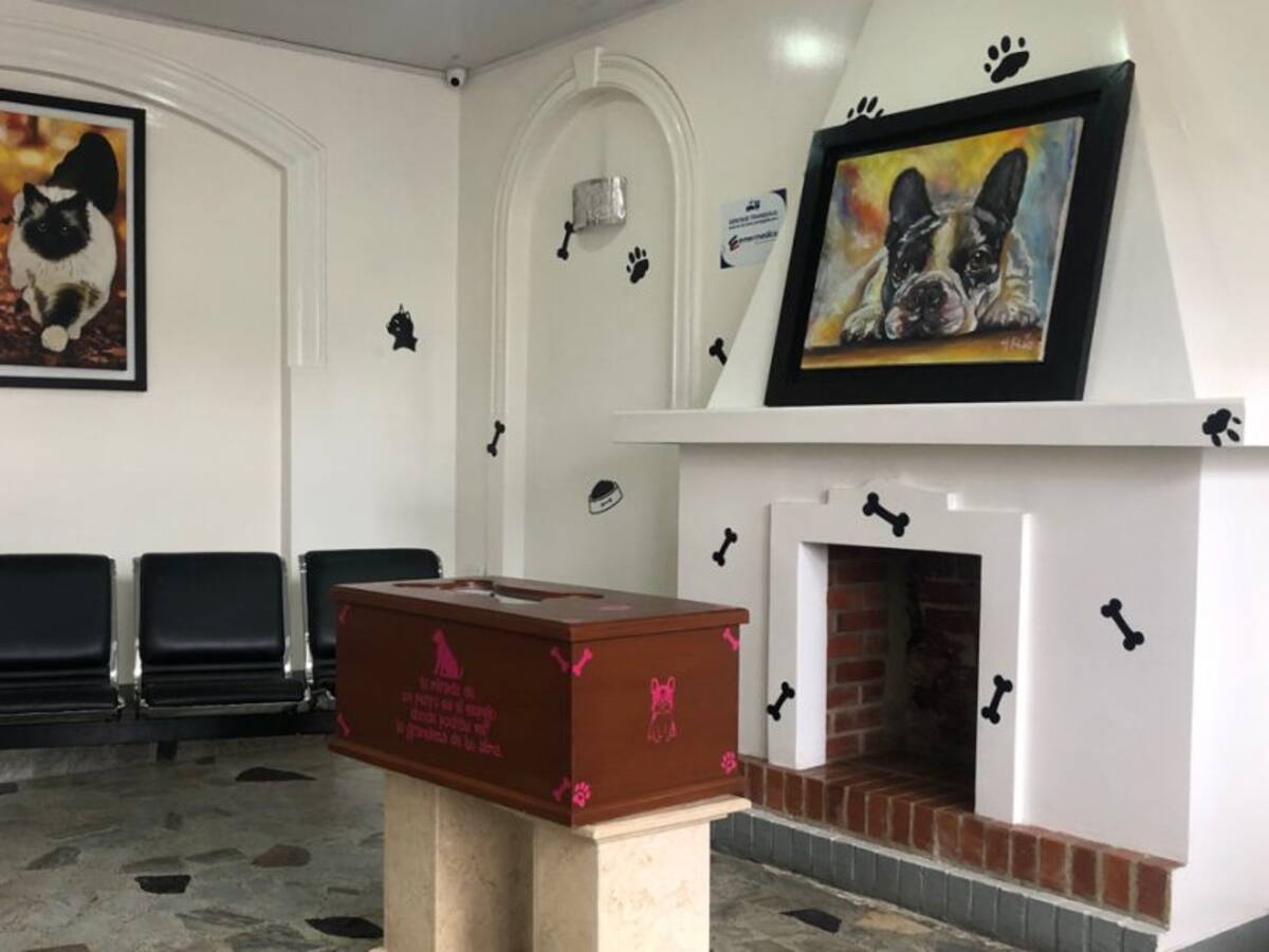 Las mascotas también van al cielo