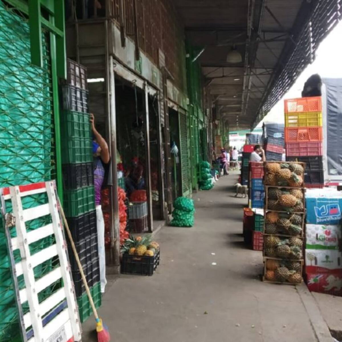 El ingreso de alimentos en la central de Bucaramanga cayo un 45% por bloqueos viales