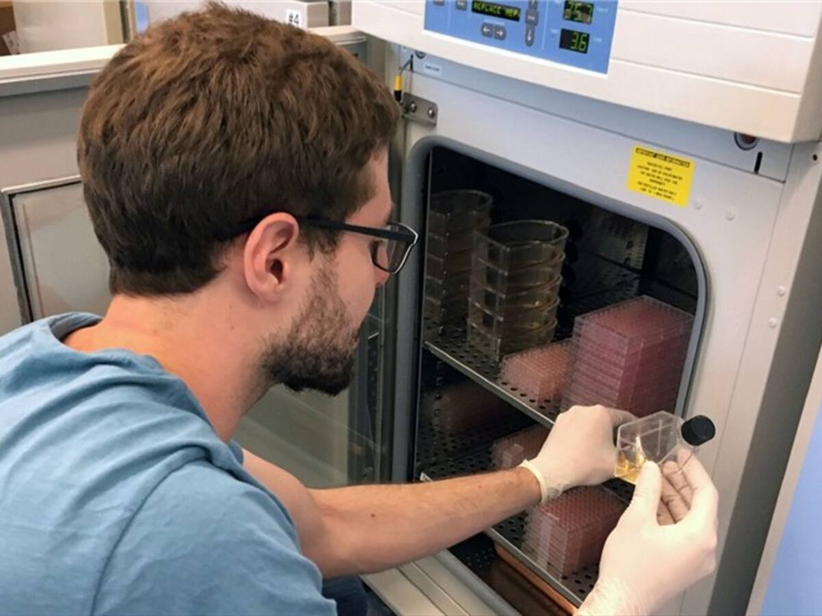 El tratamiento que ayudará a eliminar las células tumorales durmientes