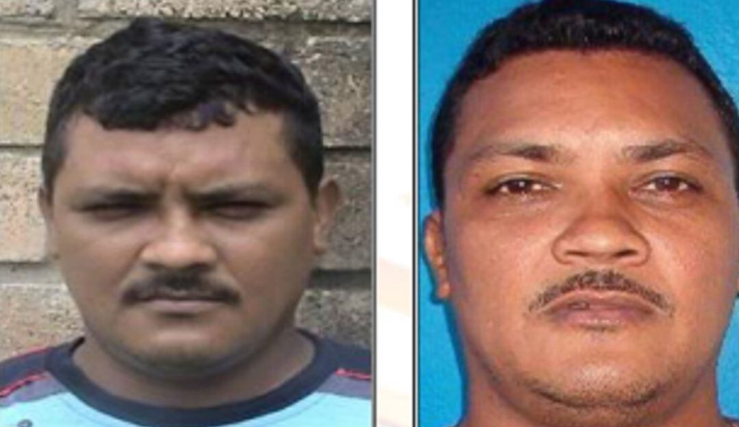 En la operación de la Policía, también fue incautado material de intendencia del Clan del Golfo.