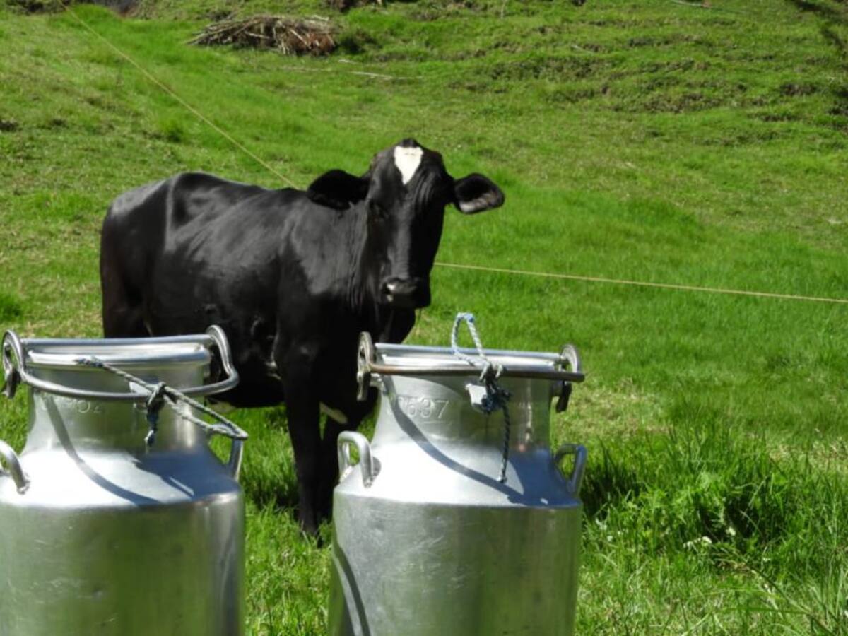 En Antioquia están en riesgo de perderse 2 millones de litros de leche