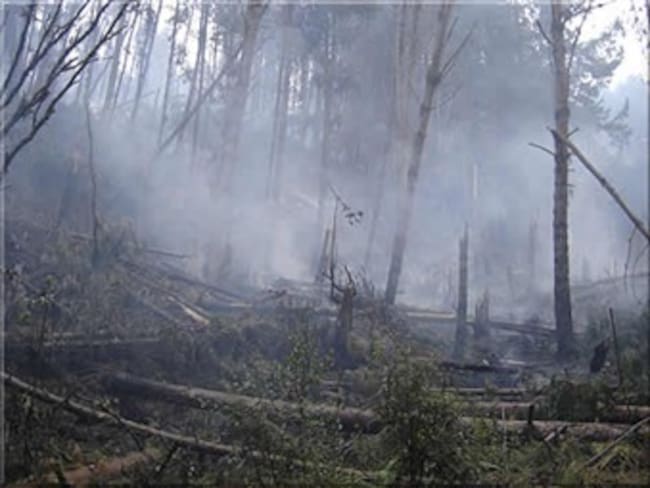Alerta por incendios forestales en 21 departamentos del país