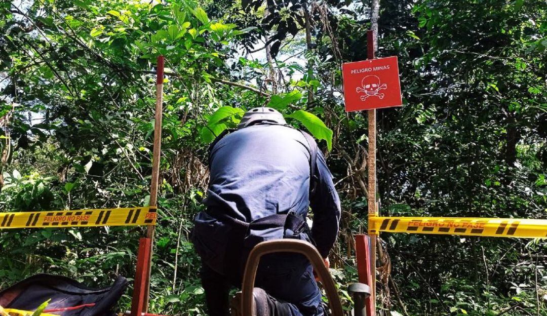 Además, el Batallón de Desminado N.°4 retomará labores en ocho municipios de los Llanos Orientales.