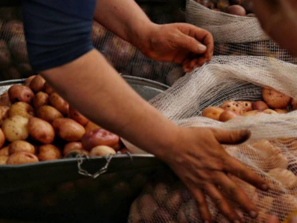 Gobernación asegura que ya se están buscando soluciones para los paperos