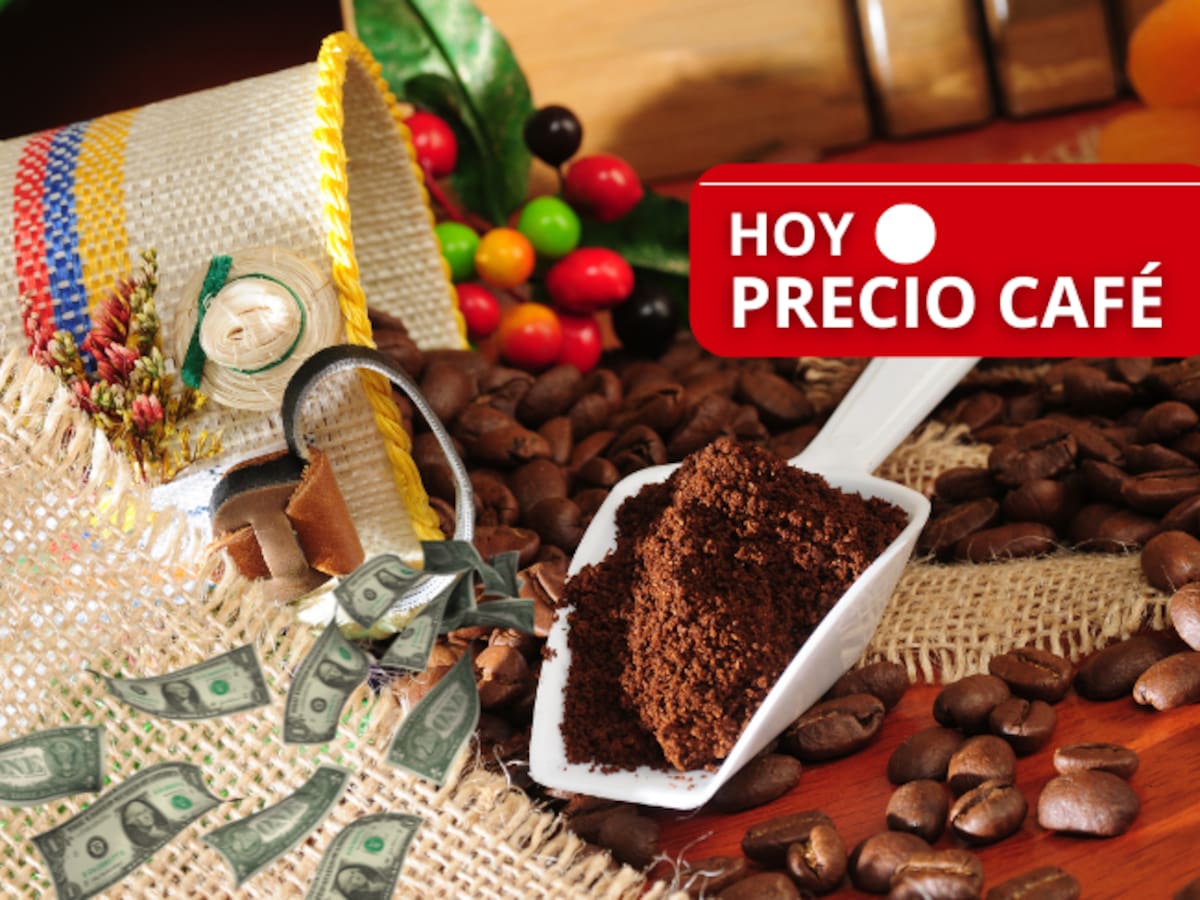Precio del café HOY en COP y USD: 13 de noviembre, según la Federación de Cafeteros