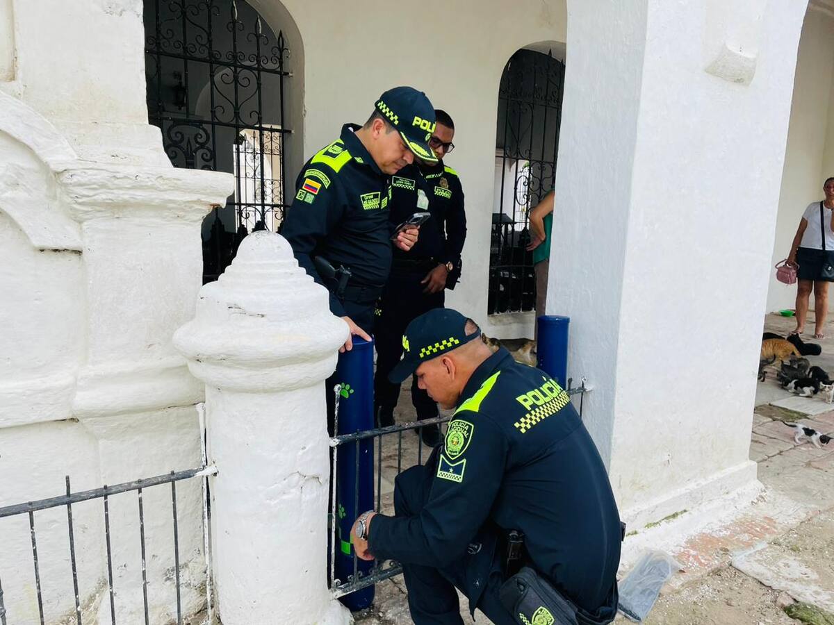En Mompox policías instalaron dispensadores con comida para gatos
