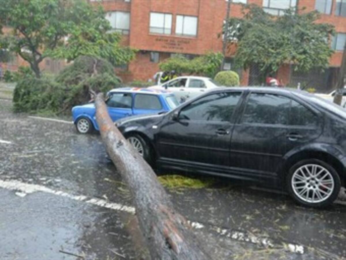 Otro árbol caído causa problemas de movilidad en Bogotá