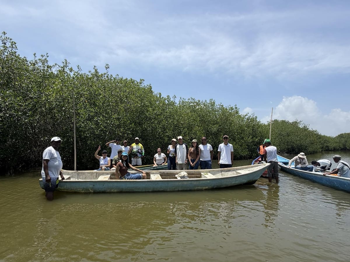 Unicartagena fortalece la conservación de mangles con la consagración de un santuario en La Boquilla