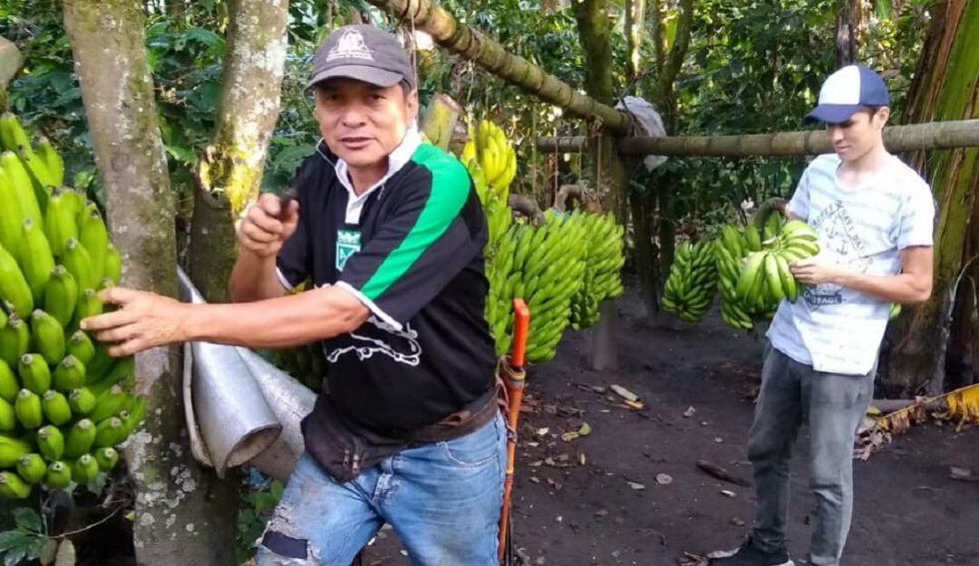 Orlando Rodríguez, presidente de Agropetol