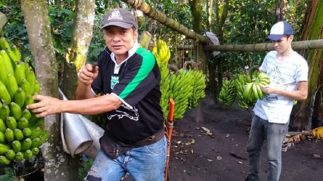 Orlando Rodríguez, presidente de Agropetol