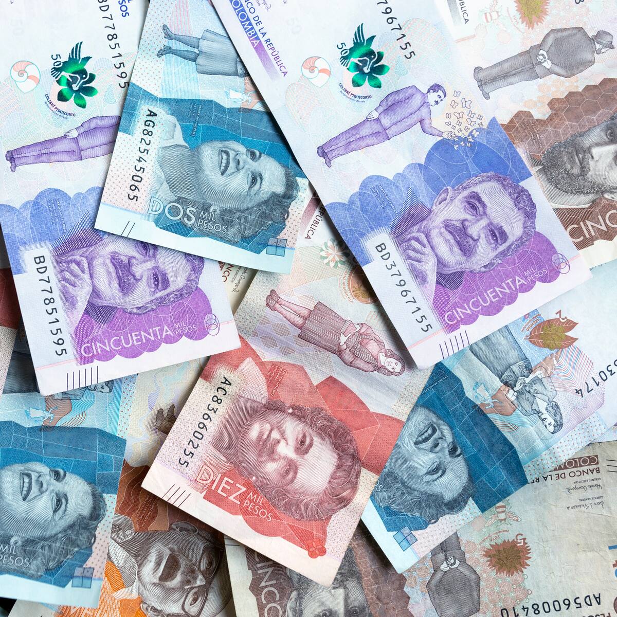 Finaktiva y su papel en el desarrollo empresarial antioqueño: ¿cuál es?
