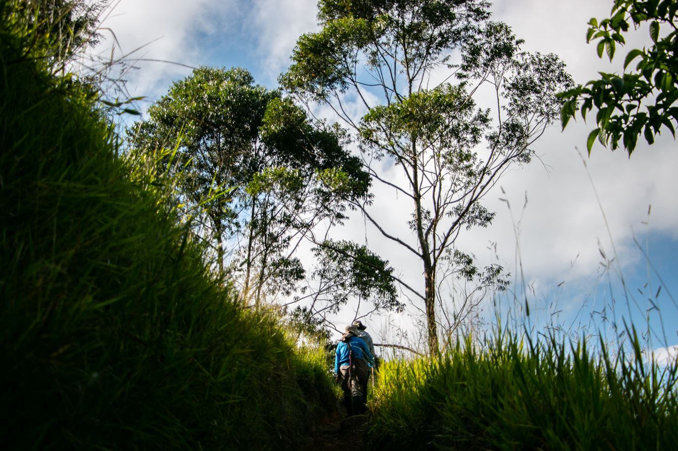 Foto: Alcaldía de Medellín