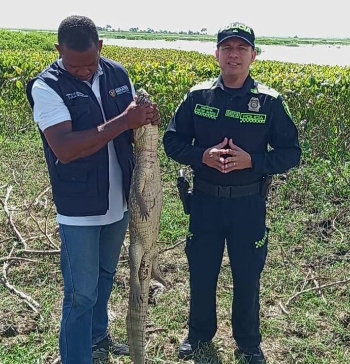 Departamento de Policía Bolívar