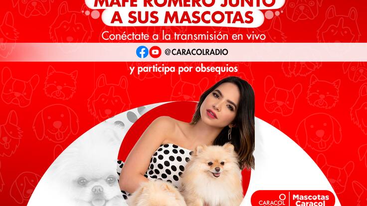 La presentadora Mafe Romero habla de sus mascotas