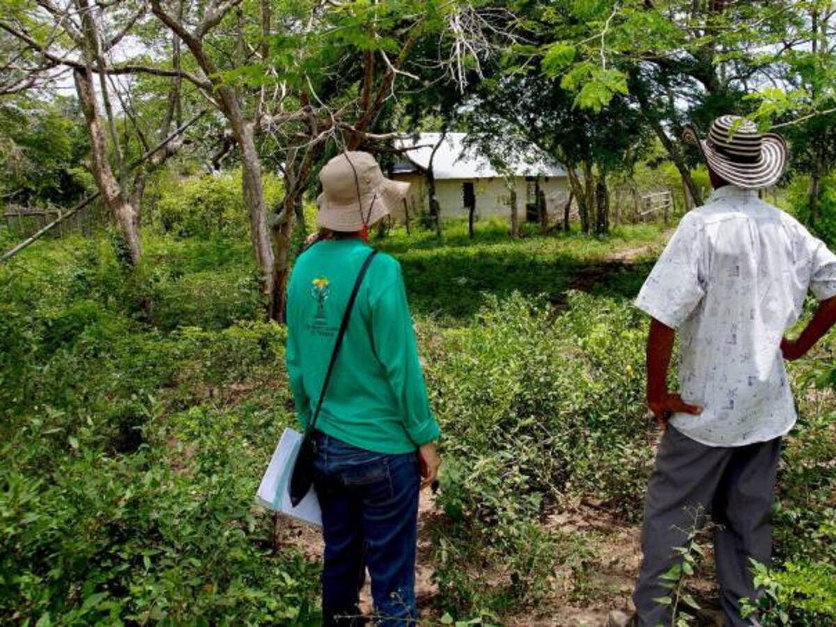 Registraduría blindará trámites de restitución de tierras
