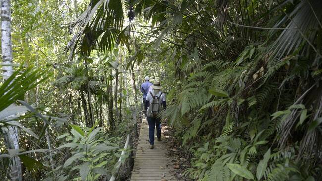 Distrito de Manejo Integrado (DMI) Guásimo en La Virginia. Crédito: Carder.
