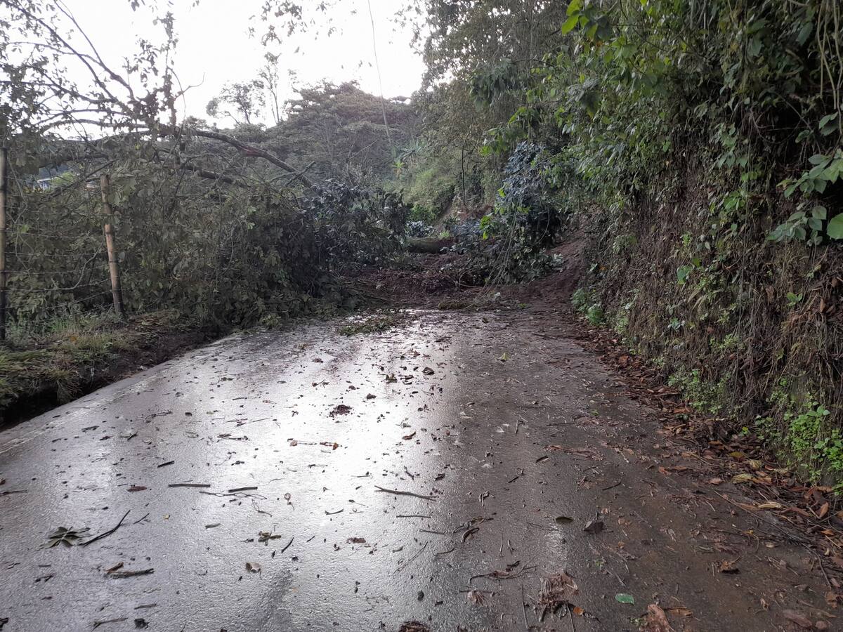 Alerta roja para cinco municipios del Quindío por derrumbes y crecientes de ríos
