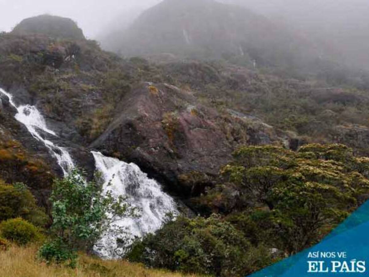 El campo colombiano logra frenar la explotación minera en los páramos