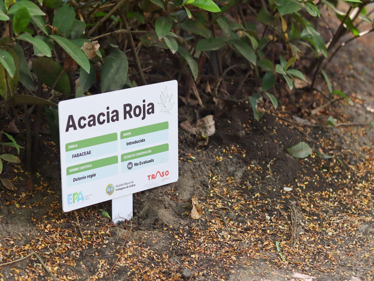 EPA Cartagena interviene Parque Centenario para proteger flora y fauna