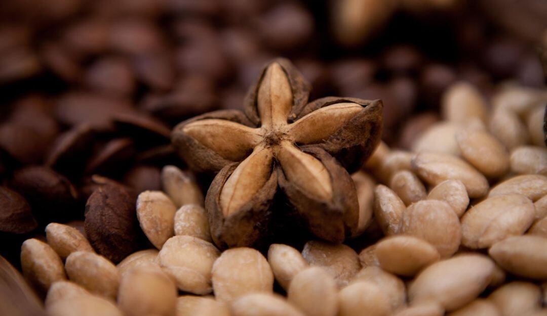 Sacha Inchi producida en Perú