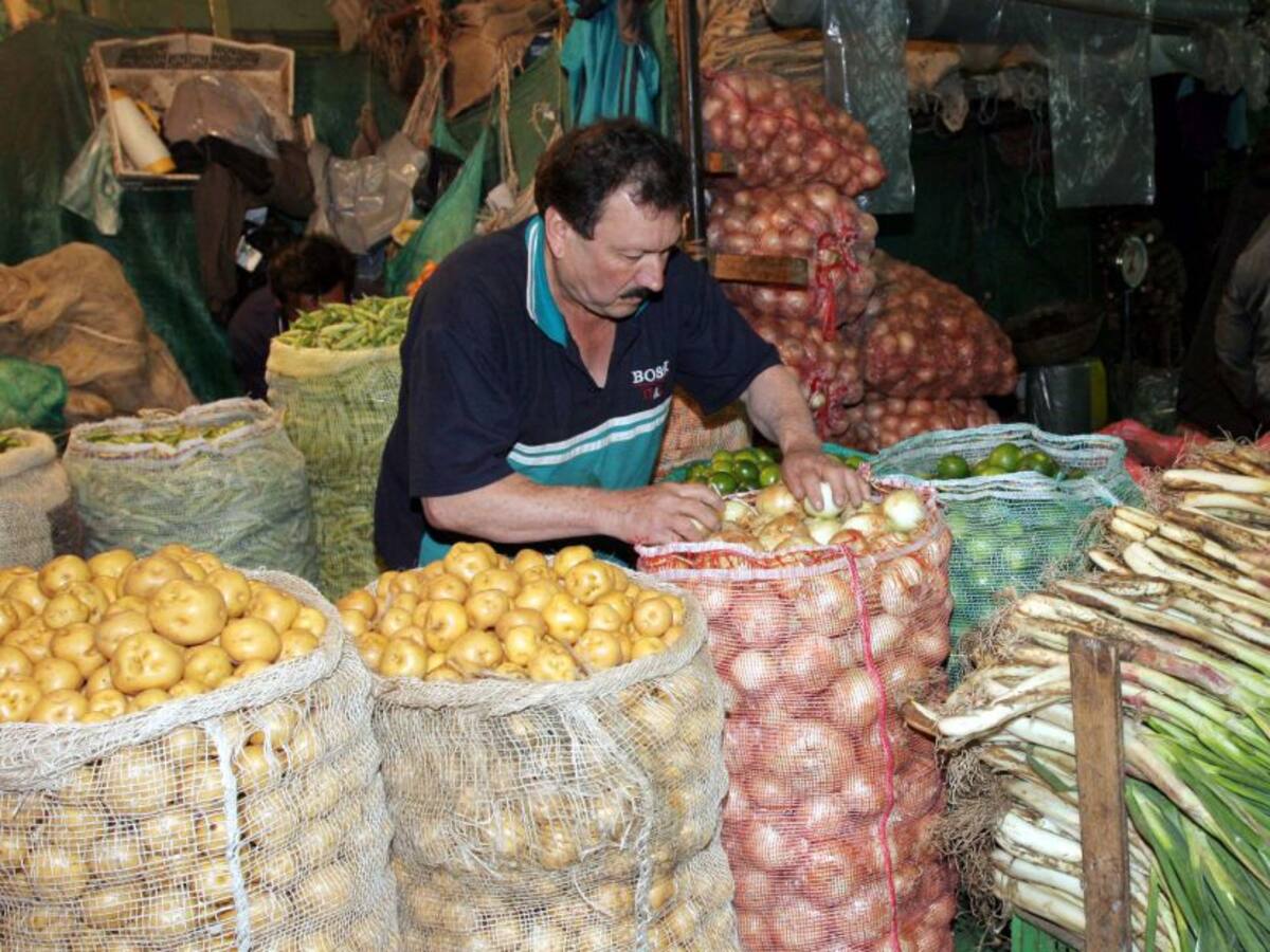 Habichuela, arveja verde y fríjol con mayor inestabilidad de precios
