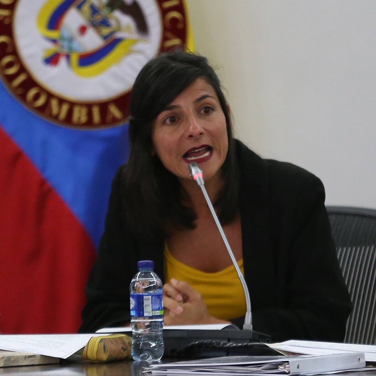 Irene Vélez saldría del Ministerio de Minas