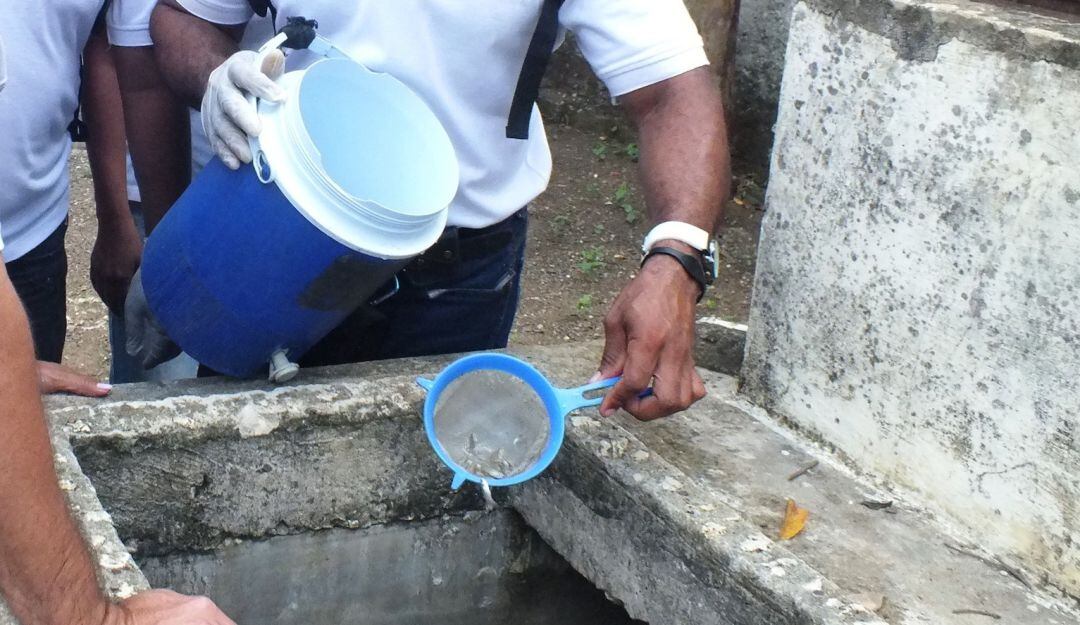 La corporación critica las pocas acciones del Dadis para controlar la propagación de esta enfermedad