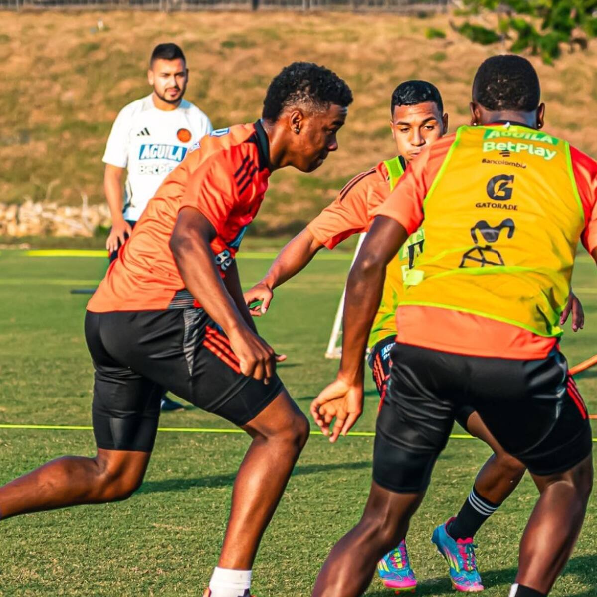 Selección Colombia se prepara para el Mundial Sub-20: fecha, hora y cómo ver el partido amistoso